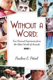 Capa do artigo Without A Word