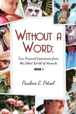 Capa do artigo Without A Word