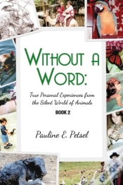 Capa do artigo Without A Word
