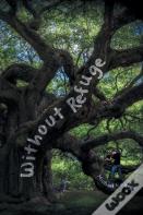 Without Refuge