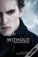 Without Shadows