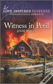 Capa do artigo Witness In Peril