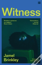 Capa do artigo Witness