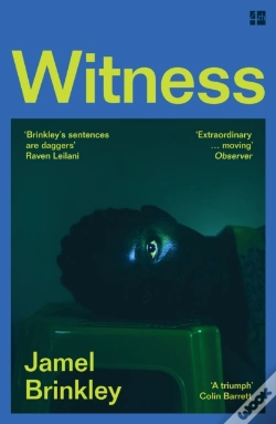 Capa do artigo Witness