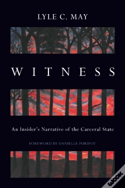 Capa do artigo Witness