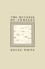 Witness Of Pebbles - Preview