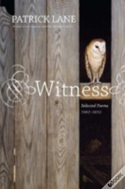 Capa do artigo Witness