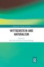 Wittgenstein And Naturalism - Preview