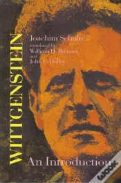 Capa do artigo Wittgenstein