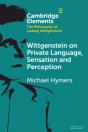 Wittgenstein On Private Language, Sensation And Perception - Preview