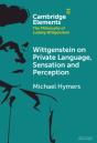 Wittgenstein On Private Language, Sensation And Perception - Preview