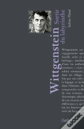 Wittgenstein ; Sortir Du Labyrinthe