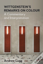 Wittgensteinâ€™S Remarks On Colour