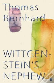 Capa do artigo Wittgenstein