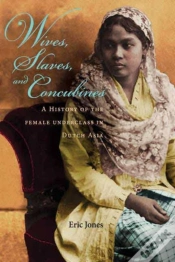 Capa do artigo Wives, Slaves, And Concubines