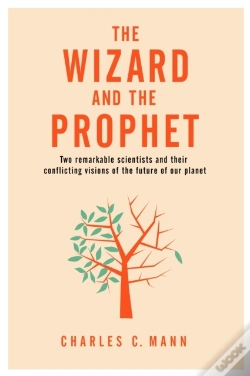 Capa do artigo Wizard And The Prophet