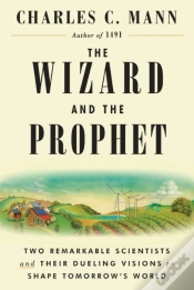 Capa do artigo Wizard And The Prophet