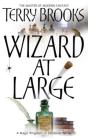 Wizard At Large - Preview