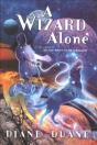 Wizard - Preview
