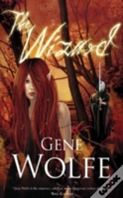 Capa do artigo Wizard
