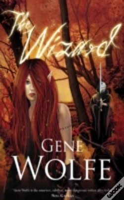 Capa do artigo Wizard