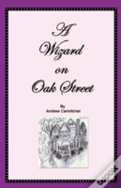 Capa do artigo Wizard On Oak Street