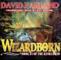 Wizardborn - Preview