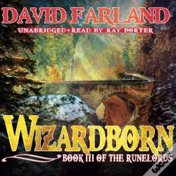 Capa do artigo Wizardborn