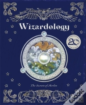 Capa do artigo Wizardology