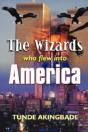 Wizards Who Flew Into America - Preview