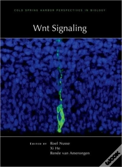 Capa do artigo Wnt Signaling