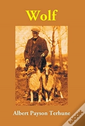 Capa do artigo Wolf