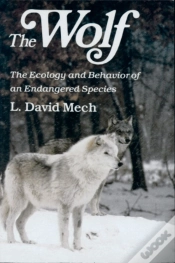 Capa do artigo Wolf