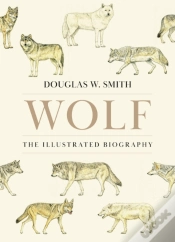 Capa do artigo Wolf
