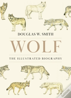 Capa do artigo Wolf