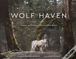 Capa do artigo Wolf Haven