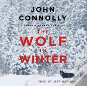 Capa do artigo Wolf In Winter