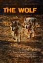 Wolf - Preview
