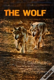 Capa do artigo Wolf