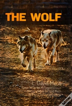 Capa do artigo Wolf