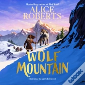 Capa do artigo Wolf Mountain