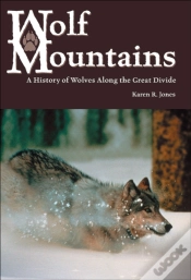 Capa do artigo Wolf Mountains