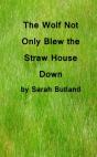Wolf Not Only Blew The Straw House Down - Preview