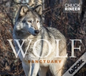 Wolf Sanctuary