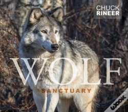 Capa do artigo Wolf Sanctuary