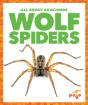 Wolf Spiders - Preview