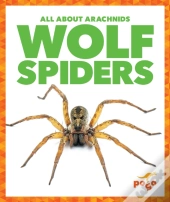 Wolf Spiders