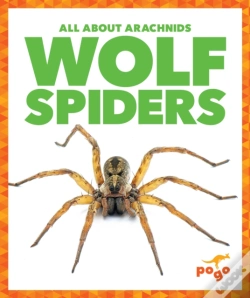 Capa do artigo Wolf Spiders