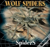Capa do artigo Wolf Spiders