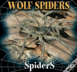 Capa do artigo Wolf Spiders
